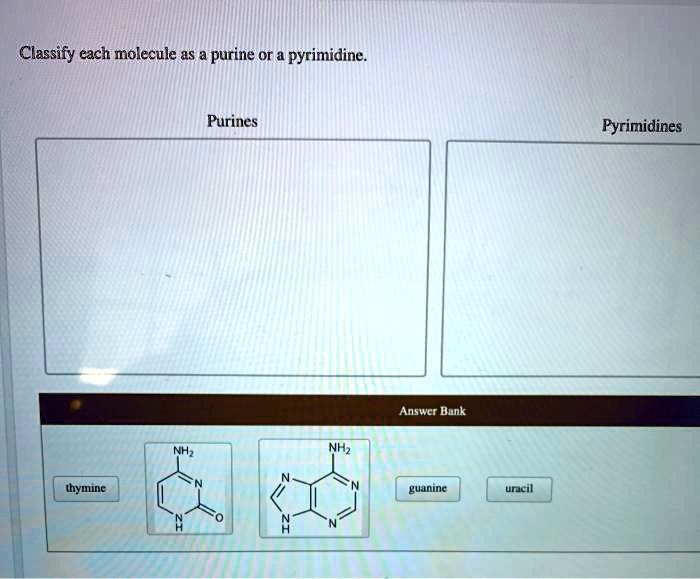 Classify each molecule as a purine or a pyrimidine