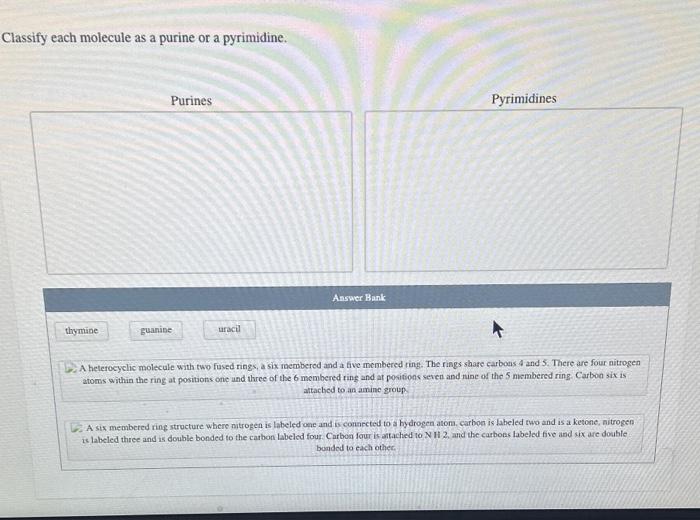 Classify each molecule as a purine or a pyrimidine