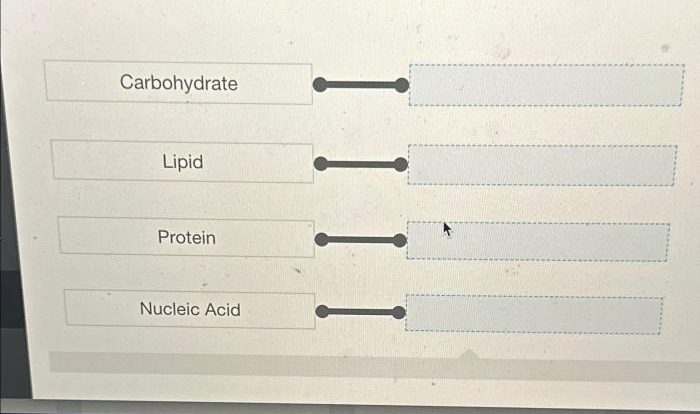 Drag the descriptions to the appropriate biomolecule class.