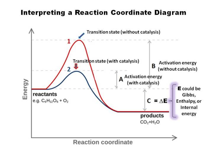 Label the following reaction coordinate diagram