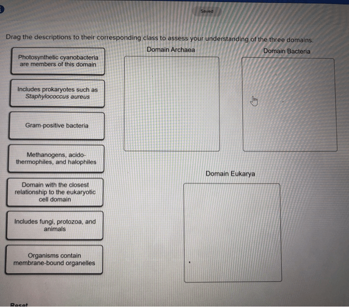 Descriptions bonding chemical corresponding