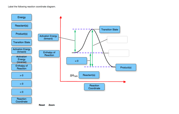 Label the following reaction coordinate diagram