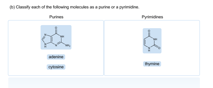 Nucleotide parts three may helmenstine anne entry updated november 2021 posted